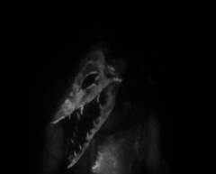 Daemonologie (для ПК, цифровой код доступа)