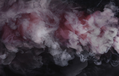 Коллекция EUPHORIA19