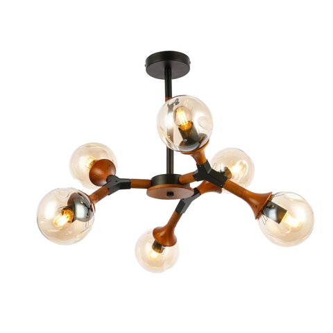 Светильник потолочный Evoluce Raquel SLE109402-06