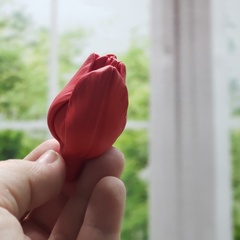 Силиконовая форма 