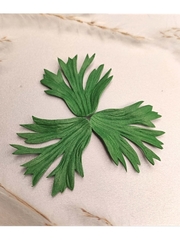 Молды пластиковые Набор Н-101 махровая анемона/анемона