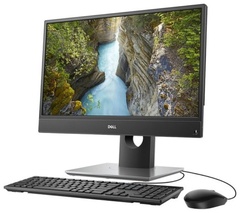Моноблок DELL OptiPlex 5400 210-BCUL серый
