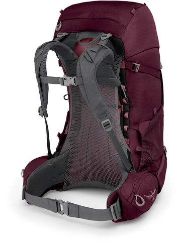 Картинка рюкзак туристический Osprey Renn 50 Aurora Purple - 2