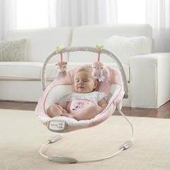 Bright Starts Кресло-качалка InGenuity 
