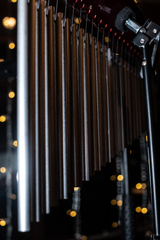 Выступление Forest Jam Project