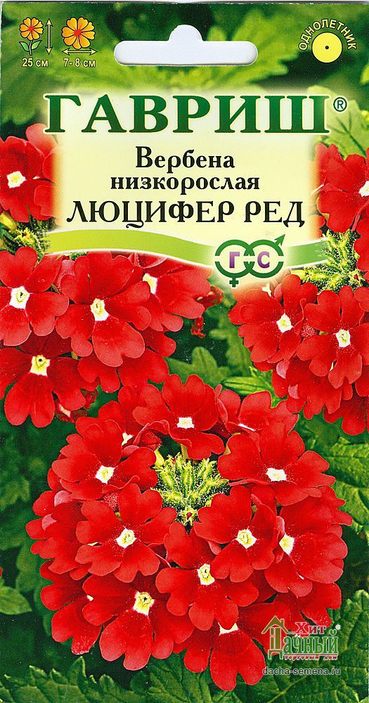 Вербена люцифер. Вербена гибридная Люцифер ред. Семена Вербена Люцифер Гавриш. Вербена гибридная семена. Вербена гибридная однолетник.