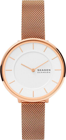 Наручные часы Skagen SKW3013 фото