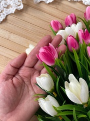 Крокусы-подснежники искусственные, Белые и Малиновые, 34 см, около 24 бутонов в наборе, набор 2+2 букета.