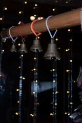 Выступление Forest Jam Project