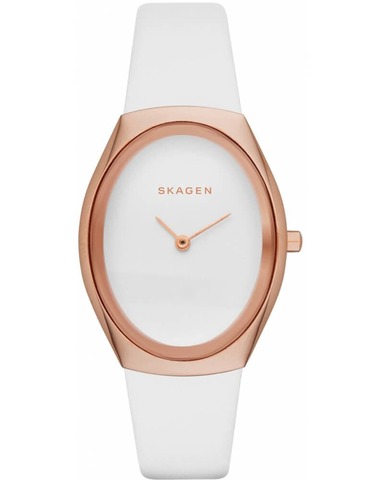 Наручные часы Skagen SKW2296 фото