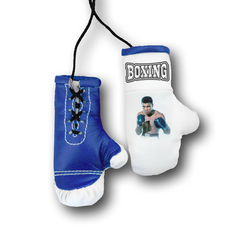 Перчатки боксерские комбинированные "Моххамед Али", белые с синим