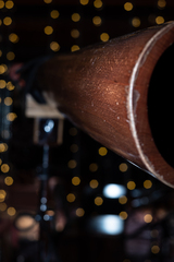 Выступление Forest Jam Project