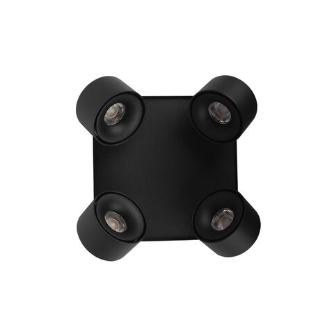 Потолочный светодиодный светильник Loft It Case 10326 Black