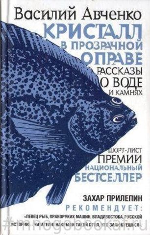 Кристалл в прозрачной оправе