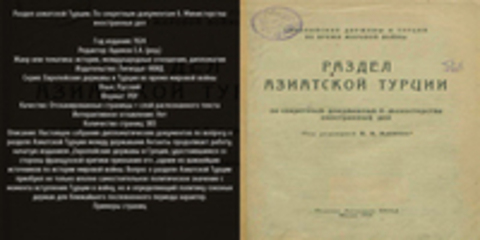 Европейские державы и Турция во время мировой войны - Адамов Е.А. (ред.) - Раздел азиатской Турции. По секретным документам б. Министерства иностранных дел