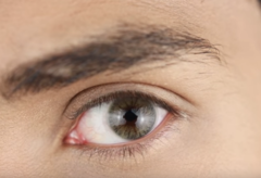 Solotica Aquarella - Sienna Brown