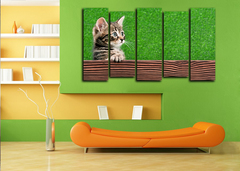 Модульная картина "Кошачья заинтересованность"