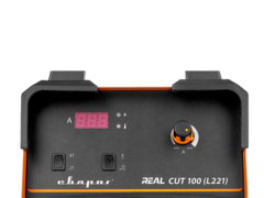REAL CUT 100 (L221)