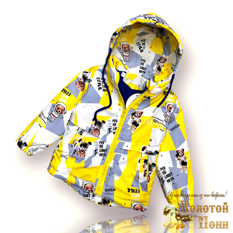Куртка на флисе мальчику (1-6) 230906-LP3079