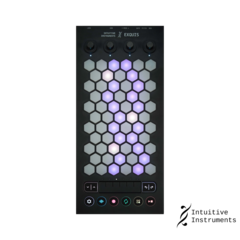 Intuitive Instruments Exquis