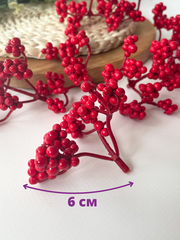 №2 Ягоды бузины зонтиком, цвет КРАСНАЯ, пучок 6 см, набор 10 шт.