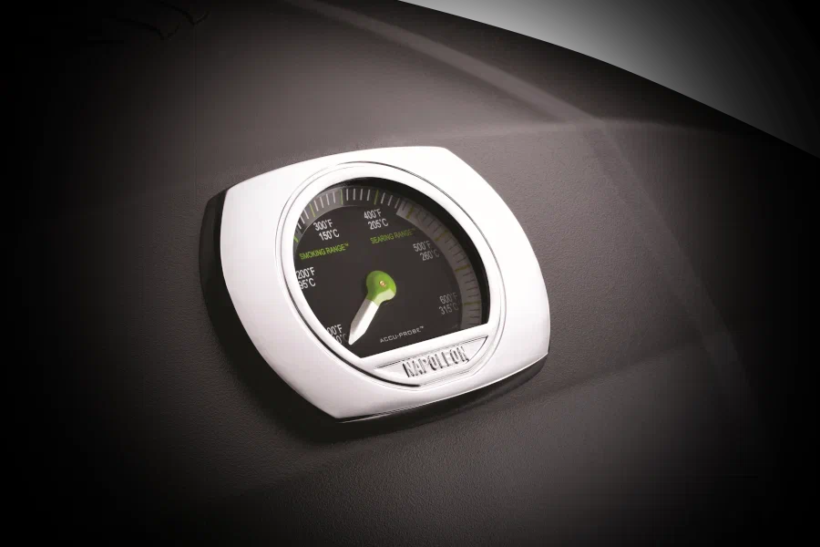 Мобильный электрический гриль Napoleon TravelQ 285X PRO