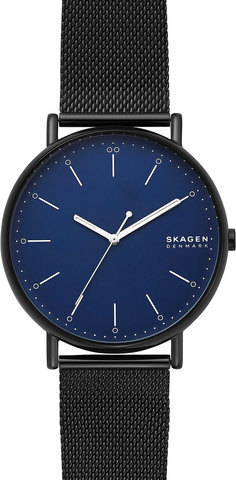 Наручные часы Skagen SKW6529 фото