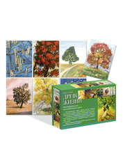 Древо жизни. Метафорические ассоциативные карты. 50 ассоциативных карт в коробке