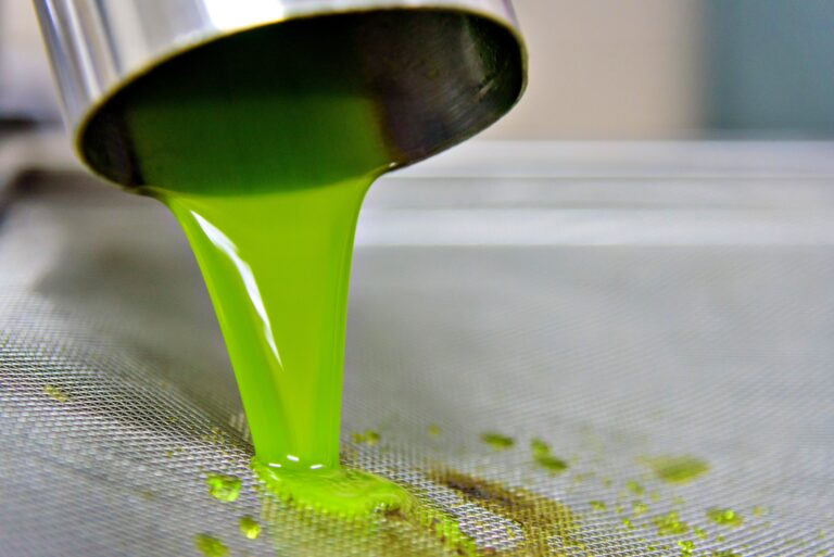 Масло оливковое нерафинированное высшего качества Donna Carmela органическое IGP Сицилия 250мл