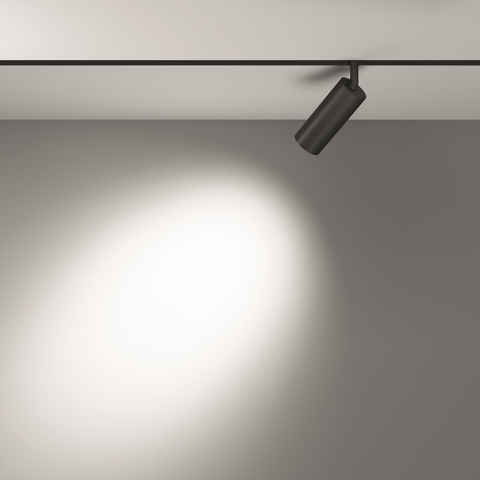 Трековый светильник Maytoni Focus led TR032-2-12W4K-S-B