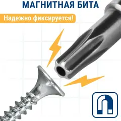 Бита отверточная ПРАКТИКА Профи Torx Tamper-10 х 50мм (2шт) (776-430)