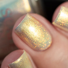 I Had All The Answers (LE)