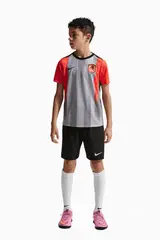 Футболка Nike Chelsea FC 25/26 Academy Pro Junior - серый