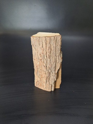 Бивень мамонта для коллекции и поделок