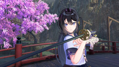 Samurai Maiden (для ПК, цифровой код доступа)