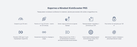 Электросамокат Ninebot KickScooter P65