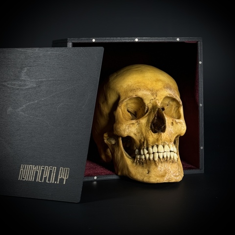 Деревянный подарочный короб для черепа