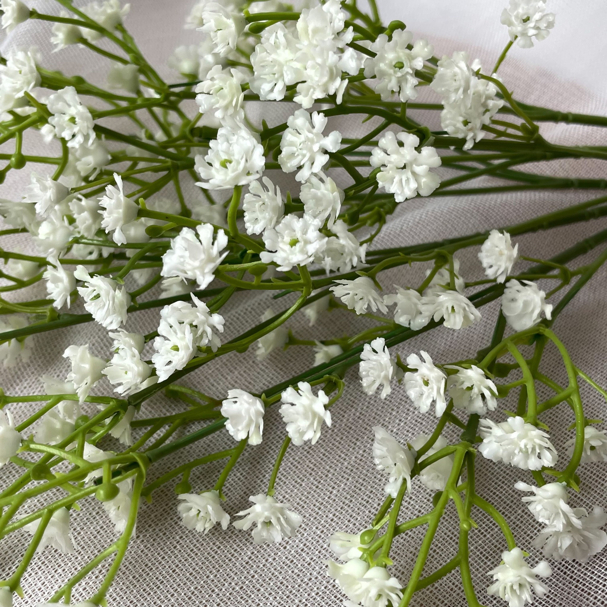 Гипсофилы фото букетов. Гипсофила 3 веточки. Гипсофила белая. Gypsophila altissima - гипсофила Тяньшаньская. Гипсофила Ясколковидная White.