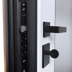 Входная металлическая дверь АСД Плата с зеркалом (адаптивная замковая часть)