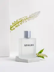 Dilis LA VIE (La Ville) Туалетная вода д/муж ADAGIO (Acqua di Gio by Armani) (575) 100мл