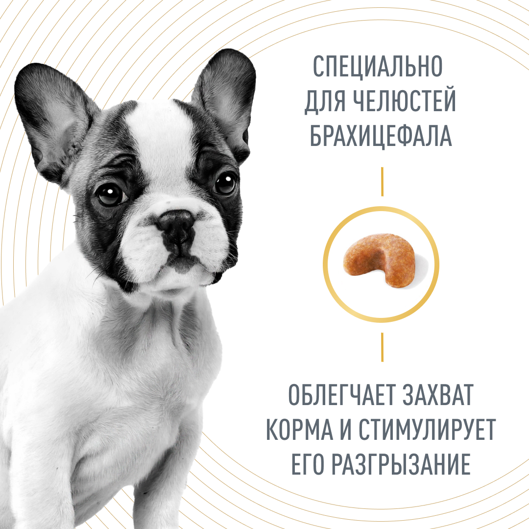 Корм для щенков собак породы французский бульдог, Royal Canin French  Bulldog Puppy купить с доставкой в интернет-магазине зоогастроном.ру