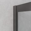 Cezares RELAX-304-P-1-100-C-GM RELAX-304-P-1-100-C-GM Душевой уголок, отделка Оружейная сталь