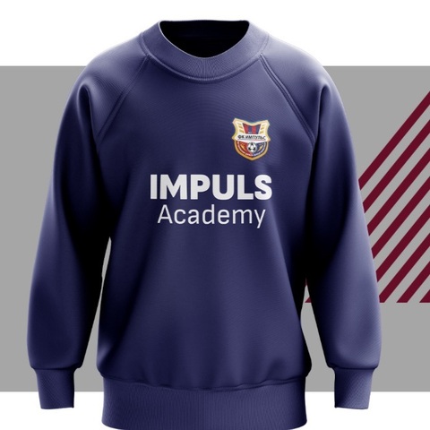 Толстовка IMPULS ACADEMY /  Blue
