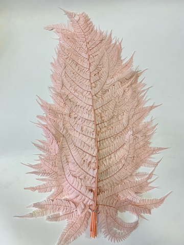 Листья папоротника большие 60-70см Розовый (10шт в упак.)
