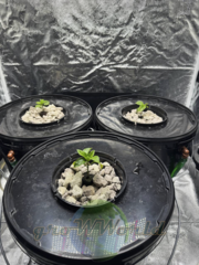 Гидропонная система Aqua Pot XL