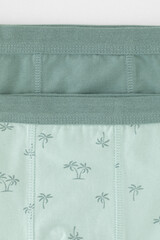 трусы/ уп  для мальчика  К 1980-2уп/полынь,голубая дымка,пальмы