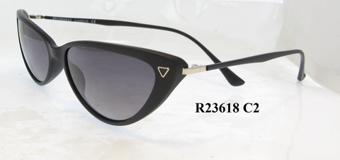 R23618