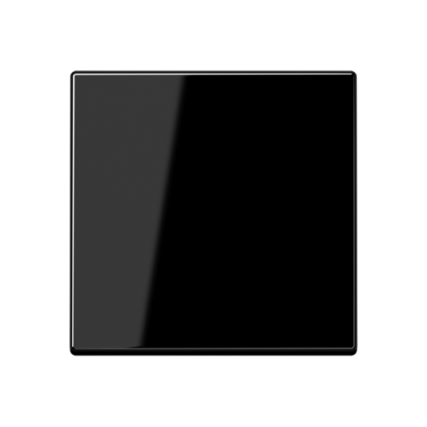 Клавиша одноклавишного выключателя. Цвет Чёрный. JUNG A. A590SW