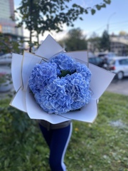 Букет цветов из 5 гортензий