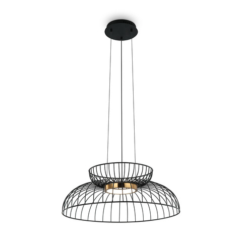 Подвесной светодиодный светильник Freya Citrus FR5398PL-L6B